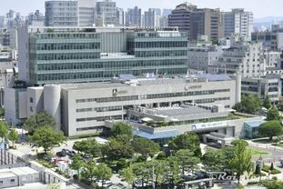 수원시, '2025 하반기 지역공동체일자리사업' 참여자 모집