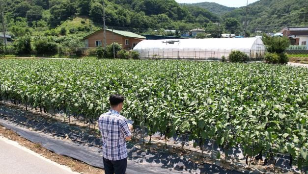 안성시, 드론을 활용한 폭염 예찰 활동 실시