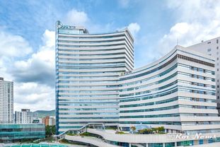 경기도, 숙박형 응급대피소 67개소 지정…한파특보 시 취약계층 임시 보호