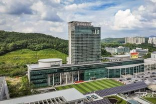 용인특례시, 호흡기세포융합바이러스(RSV) 감시 강화