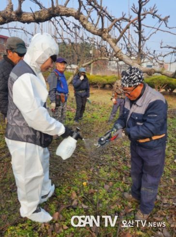 안성시농업기술센터, 동계 화상병 예방을 위한 현장교육 실시