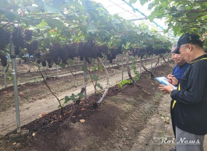 제17회 안성맞춤 포도축제, 농가 방문으로 준비 상황 점검