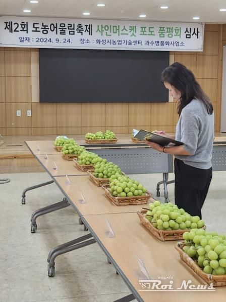 샤인머스캣 포도 품평회
