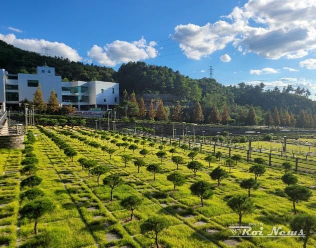 용인 평온의 숲, 수목장 4위형 10월 1일부터 확대·운영 개시