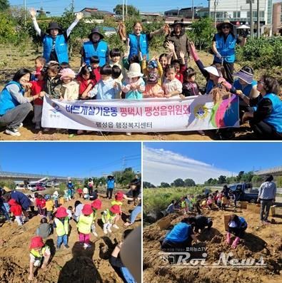 바르게살기운동 평택시 팽성읍위원회, 고구마 수확 행사