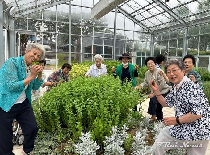 '콩이 나를 치유한다고?' 경기도농업기술원, '2025년 치유농업 전문프로그램' 운영