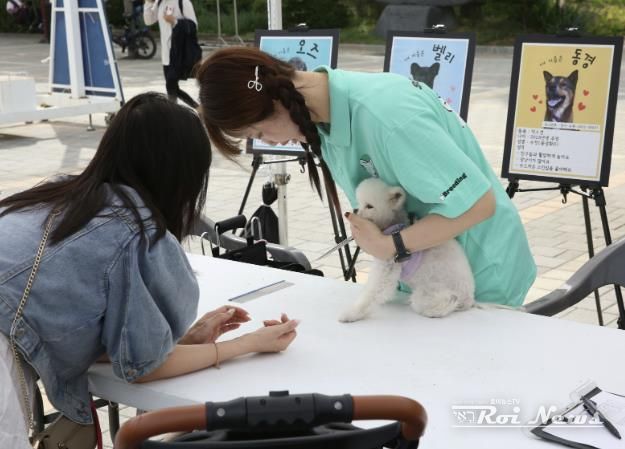 수원시 장안구, 열띤 호응 속 반려동물 문화교실 개최