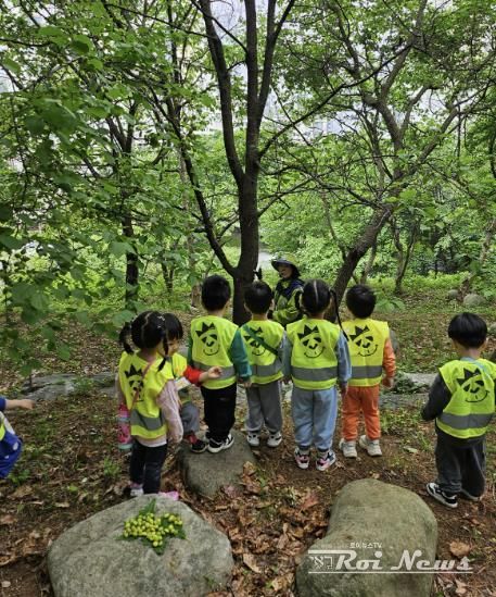 용인특례시에서 지난해 진행한 유아숲체험 프로그램 현장 사진