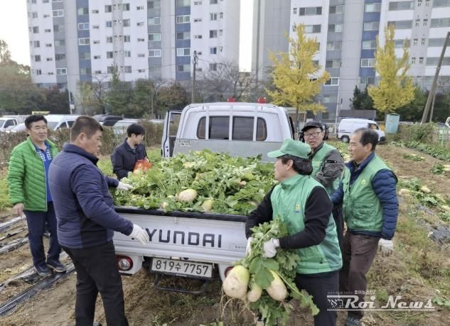 수원시 권선구 새마을지도자협의회, ‘사랑의 무’수확