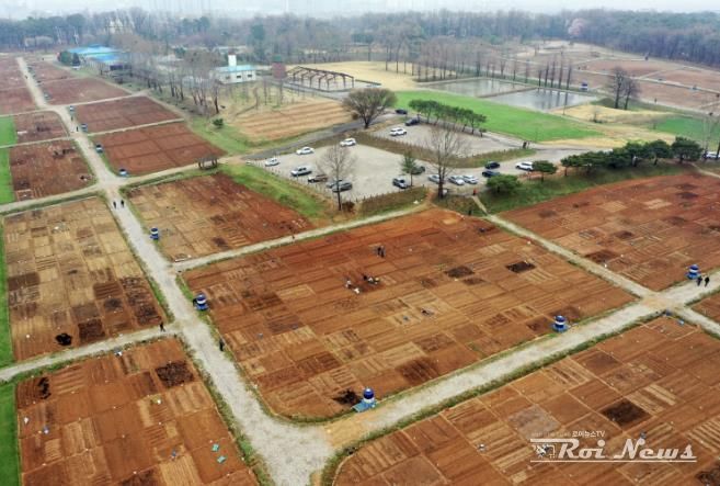 탑동 시민농장 텃밭