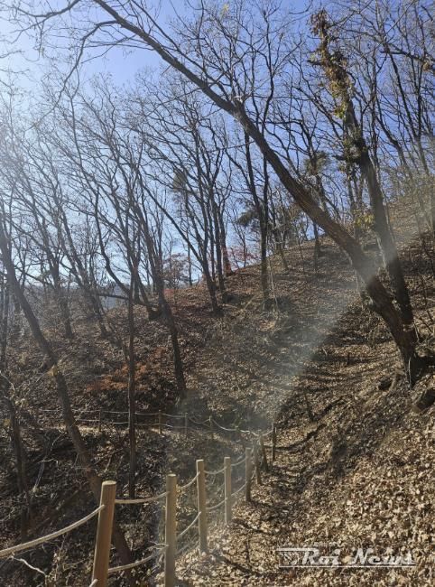 용인특례시가 추진한 광교산둘레길 2차사업 대상지 모습